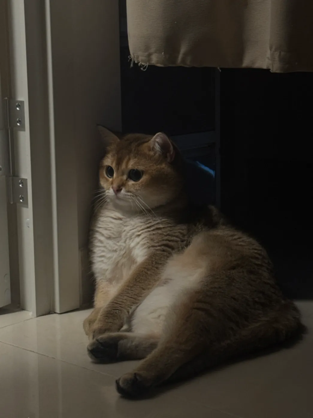 Sy